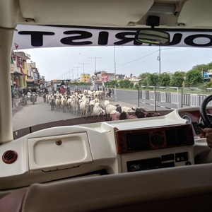 IMG_20190708_172157.jpg